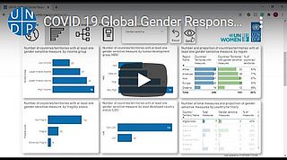 UN Global gender Tracker